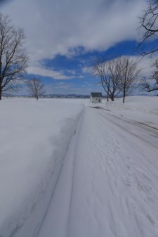 St-Michel-de-Bellechasse